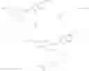 Fig. 12 - Modified nucleotides