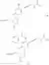 Fig. 19 - Modified nucleotides