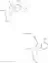 Fig. 32 - Modified nucleotides
