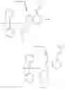 Fig. 35 - Modified nucleotides