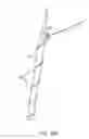 Fig. 40 - System for providing surgical access