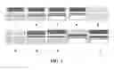 Fig. 02 - Nanochanneled device and related methods