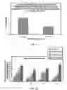 Fig. 02 - METHODS AND COMPOSITIONS FOR INCREASING TRICHOGENIC POTENCY OF DERMAL CELLS