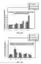 Fig. 05 - METHODS AND COMPOSITIONS FOR INCREASING TRICHOGENIC POTENCY OF DERMAL CELLS