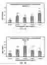 Fig. 06 - METHODS AND COMPOSITIONS FOR INCREASING TRICHOGENIC POTENCY OF DERMAL CELLS