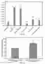 Fig. 11 - METHODS AND COMPOSITIONS FOR INCREASING TRICHOGENIC POTENCY OF DERMAL CELLS