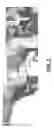 Fig. 06 - ENDOPROSTHETIC TEXTILE SCAFFOLD