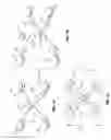 Fig. 02 - CROSS CONNECTORS