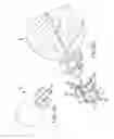 Fig. 45 - Systems for and methods of fusing a sacroiliac joint