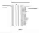 Fig. 09 - METHODS AND APPARATUS FOR GENETIC EVALUATION