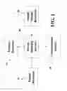 Fig. 02 - Digital Patent Marking Method