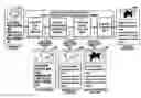Fig. 01 - Workflow executing device, preview creating method