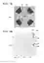 Fig. 02 - Program storage medium and method for determining exposure condition and mask pattern