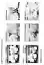Fig. 04 - Identification and Validation of Novel Targets for Agrochemicals