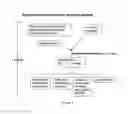 Fig. 02 - Virus induced gene silencing (VIGS) for functional analysis of genes in cotton