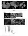 Fig. 06 - Virus induced gene silencing (VIGS) for functional analysis of genes in cotton