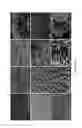 Fig. 20 - Virus induced gene silencing (VIGS) for functional analysis of genes in cotton