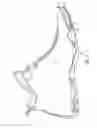 Fig. 02 - Forefoot catapult for athletic shoes