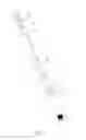Fig. 02 - Liquid herbicide applicator