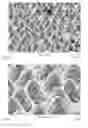 Fig. 07 - ABRASIVE COATING AND METHOD OF MANUFACTURING SAME