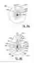 Fig. 09 - Product with Improved Optical Characteristics