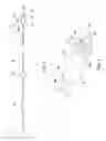 Fig. 04 - Sensor with G-load absorbing shoulder