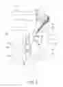 Fig. 07 - ROTARY TYPE FEEDING DEVICE FOR A WOODWORKING MACHINE