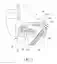 Fig. 08 - ROTARY TYPE FEEDING DEVICE FOR A WOODWORKING MACHINE