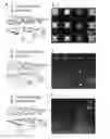Fig. 01 - Multiplexed Biomolecule Arrays Made By Polymer Pen Lithography