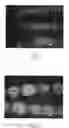 Fig. 05 - NANOWIRE INK COMPOSITIONS AND PRINTING OF SAME