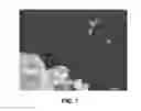 Fig. 02 - Mesoporous amorphous oxide of titanium