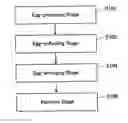 Fig. 01 - Method for processing a large number of fish eggs
