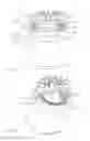 Fig. 02 - Starter motor