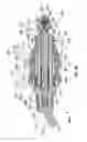 Fig. 07 - Multifunctional cleaning tool