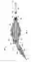 Fig. 09 - Multifunctional cleaning tool
