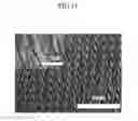Fig. 08 - Solar cell and manufacturing method thereof