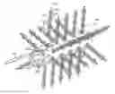 Fig. 01 - Debarking chain with passing links