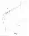 Fig. 02 - BLIND