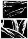 Fig. 01 - Treatment of fibres to endure processing