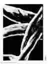 Fig. 03 - Treatment of fibres to endure processing