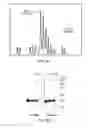Fig. 09 - MATERIALS AND METHODS FOR RESOLVING POLYHYDRIC SPECIES BY ELECTROPHORESIS