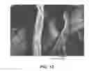 Fig. 08 - FIBROUS MATERIALS AND COMPOSITES