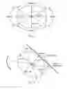 Fig. 06 - Method for reducing web feed rate variations induced by parent roll geometry variations
