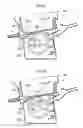 Fig. 09 - Detecting apparatus and image forming apparatus