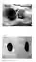 Fig. 02 - Conductive polymer composition and process for preparing the same