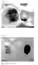 Fig. 03 - Conductive polymer composition and process for preparing the same