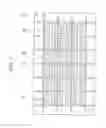 Fig. 07 - Semiconductor device and method of forming the same
