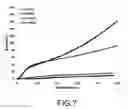 Fig. 07 - Porous material having anisotropic structure and method of making the same