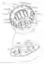 Fig. 01 - BRUSHLESS MOTOR AND ELECTRIC POWER STEERING SYSTEM