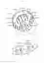 Fig. 04 - BRUSHLESS MOTOR AND ELECTRIC POWER STEERING SYSTEM